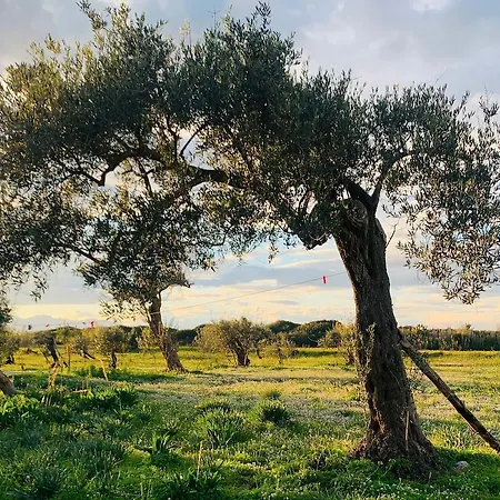 Semesterbostad Surrounded By Nature Overlooking The Sea - Cefalu *